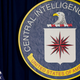 Illustration for article titled Man Arrested for Child Porn Named as Suspect in Leak of CIA Files to WikiLeaksem/emem/em